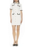 Alexia Admor Odette Short Sleeve Knit Shirtdress In White