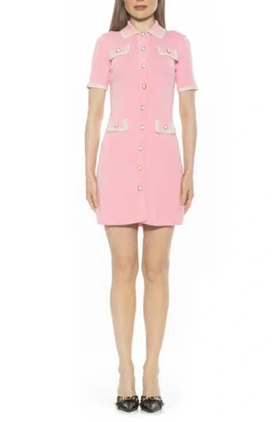 Alexia Admor Odette Short Sleeve Knit Shirtdress In Pink