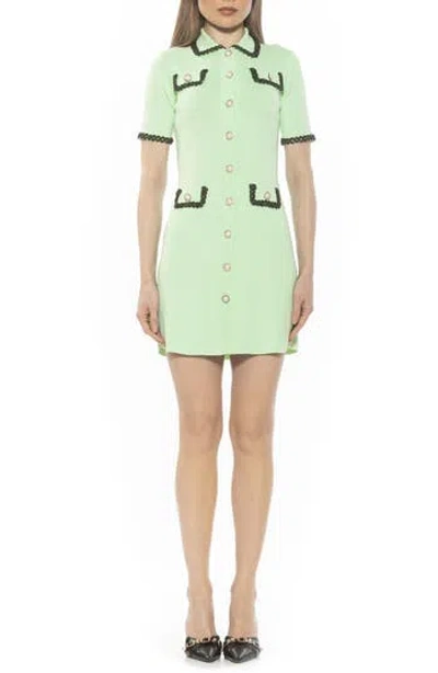 Alexia Admor Odette Short Sleeve Knit Shirtdress In Sage