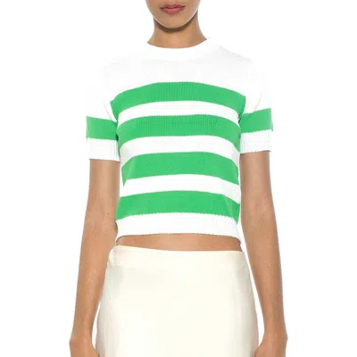 Alexia Admor Pat Stripe Short Sleeve Sweater Top In Ivory/green