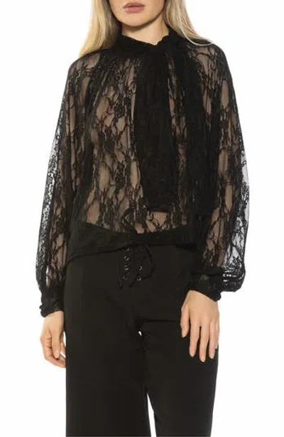Alexia Admor Rae Lace Top With Neck Tie In Black