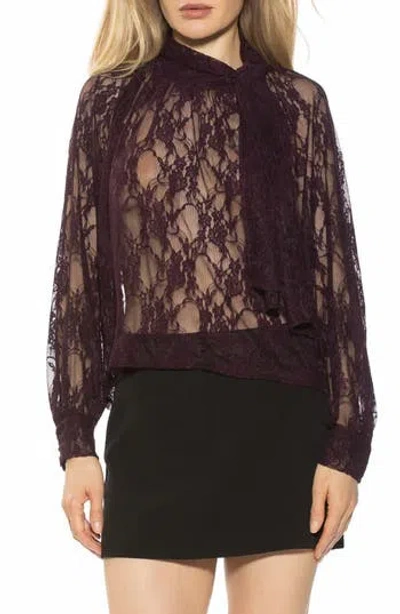 Alexia Admor Rae Lace Top With Neck Tie In Brown
