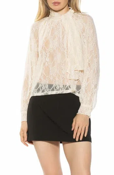 Alexia Admor Rae Lace Top With Neck Tie In White