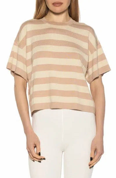 Alexia Admor Remy Stripe Short Sleeve Top In Brown