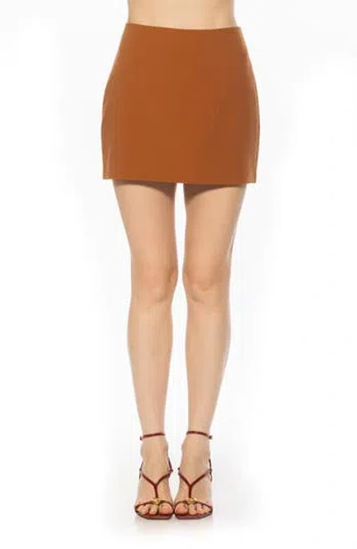 Alexia Admor Rini Miniskirt In Brown