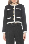 Alexia Admor Rose Tweed Jacket In Black