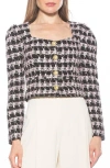 Alexia Admor Rowan Tweed Jacket In Black/pink