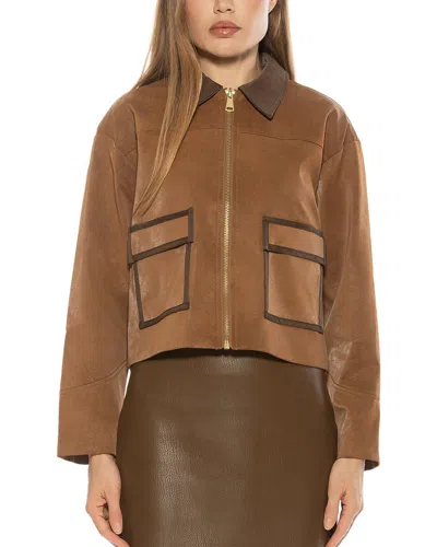Alexia Admor Sorell Utility Jacket In Brown