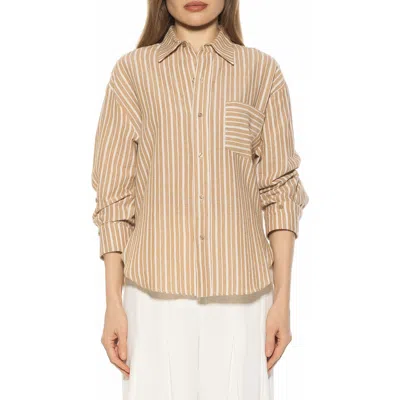 Alexia Admor Tammi Oversize Button-up Shirt In Brown