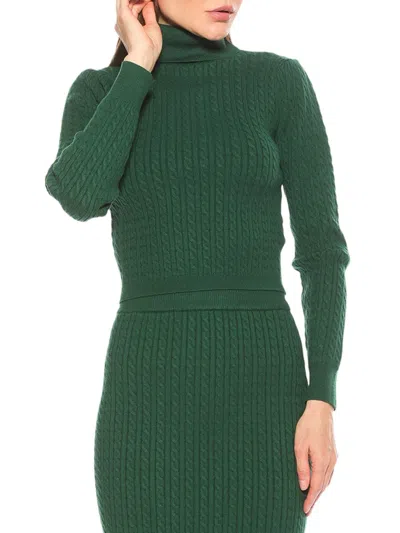 Alexia Admor Women's Nova Turtleneck Cable Knit Sweater In Midnight Green