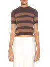 Alexia Admor Women's Pat Striped Short Sleeve Sweater In Brown