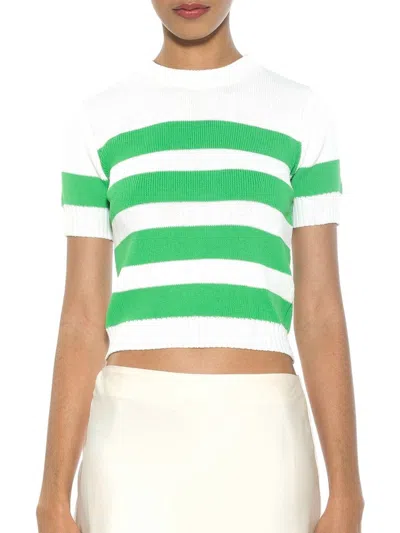 Alexia Admor Women's Pat Striped Short Sleeve Sweater In Ivory Green