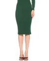 Alexia Admor Zion Pencil Skirt