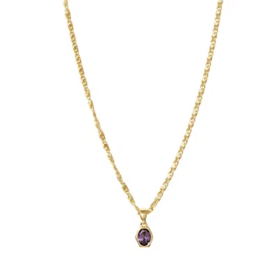 Alexie Of Athens Women's Gold Persona Long Chain Garnet Birthstone Necklace