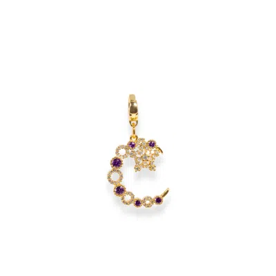 Alexie Of Athens Women's Pink / Purple Dreamcatch Clip On Moon Charm
