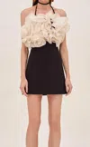 Alexis Aisha Ruffle Halter Mini Dress In Black