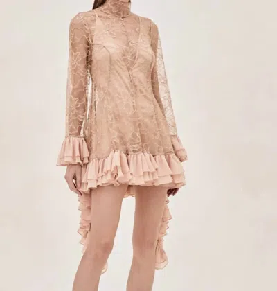 Alexis Aliyah Dress In Fawn