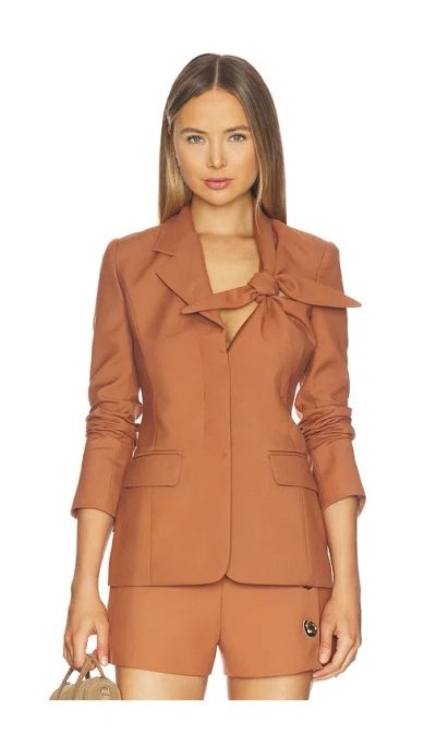 Alexis Altan Jacket In Brown