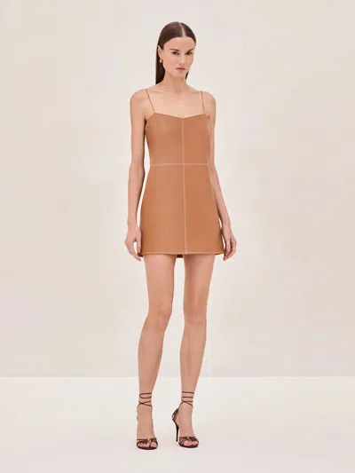 Alexis Amery Dress In Saddle