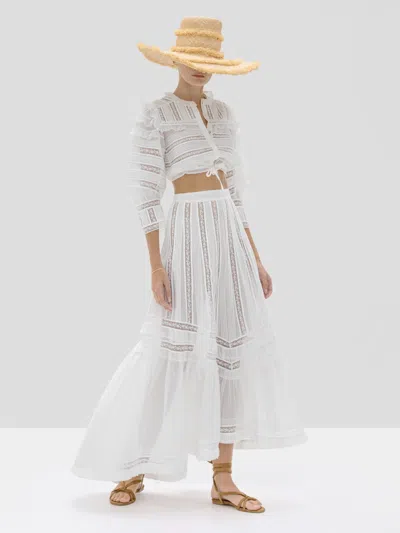 Alexis Amiri Crop Top In L