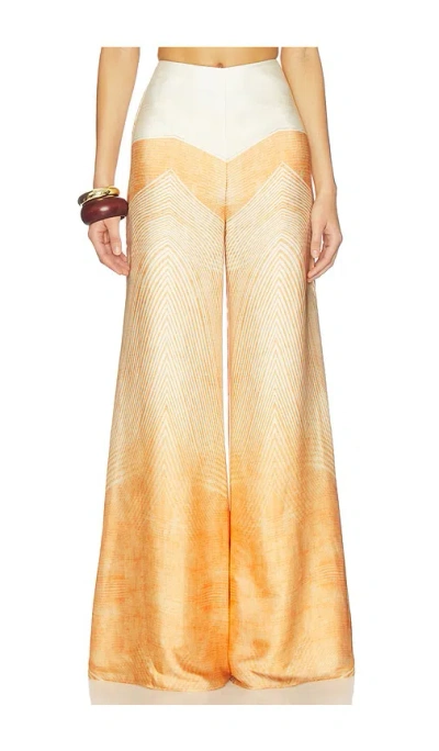 Alexis Hose Andres In Orange