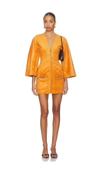 Alexis Anesa Dress In Orange