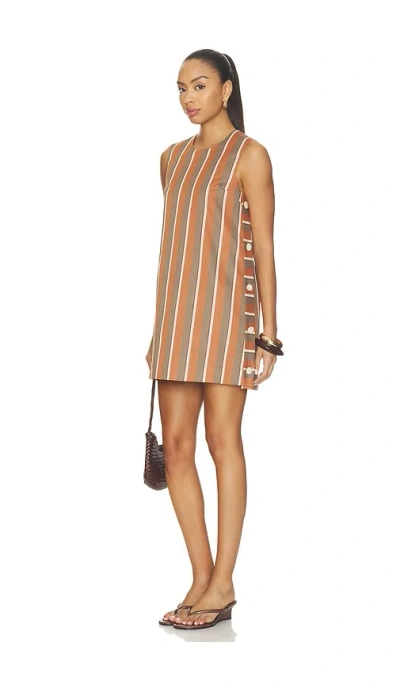 Alexis Barbale Dress In Brown
