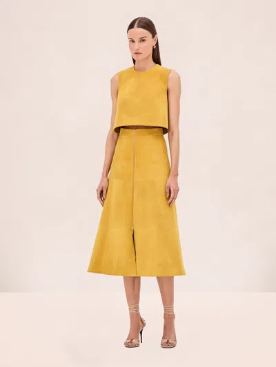 Alexis Bently Skirt