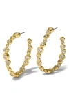 Alexis Bittar Asterales Cubic Zirconia Large Oval Hoop Earrings In 14k Gold Plated In Gold