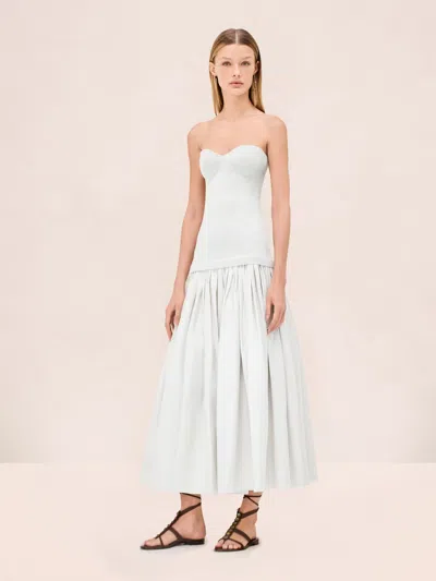 Alexis Cannes Dress In Gray