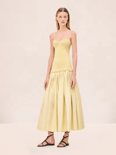 Alexis Cannes Dress In Yellow