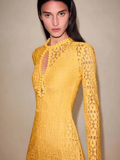 Alexis Casilda Dress In Yellow
