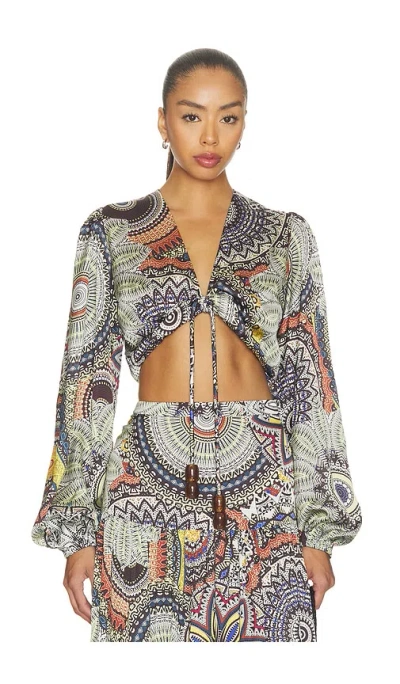 Alexis Colmar Top In Multi