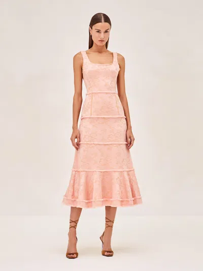 Alexis Corina Dress In Petal Brocade