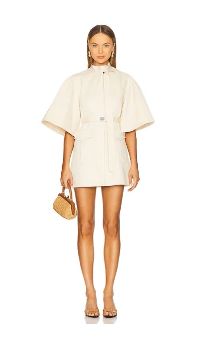 Alexis Corya Dress In Beige