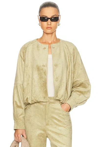 Alexis Cruz Jacket In Green