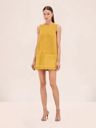 Alexis Dakota Dress In Yellow