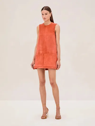 Alexis Dakota Dress In Orange