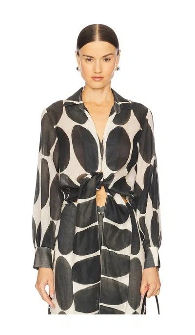 Alexis Desai Top In Eclipse
