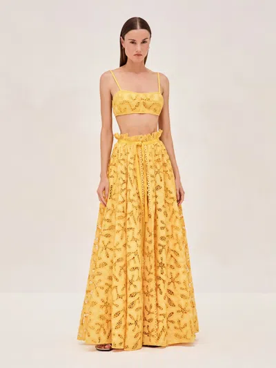 Alexis Dilara Skirt In Sundust