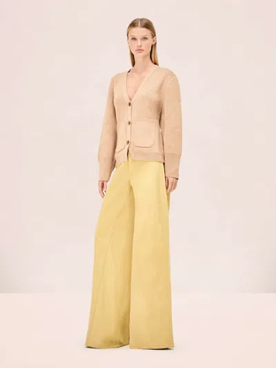 Alexis Dilo Pant In Brown