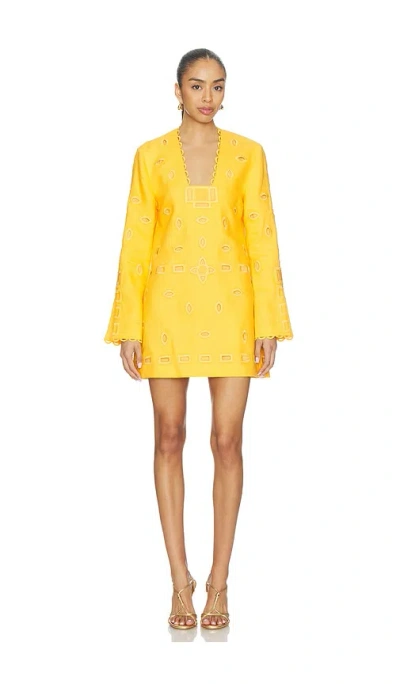 Alexis Eulia Mini Dress In Yellow In Multi
