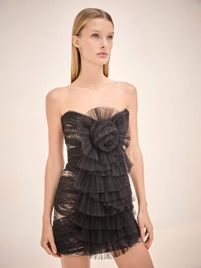 Alexis Eva Dress In Black