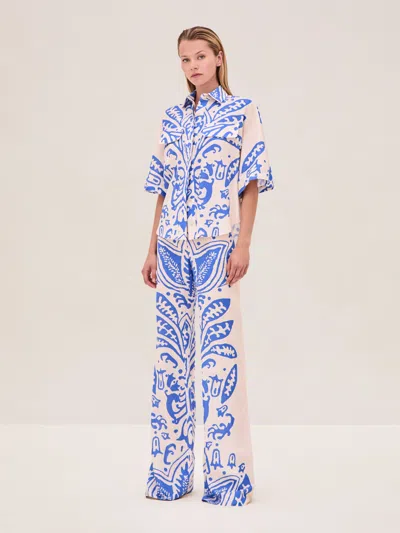 Alexis Farad Top