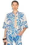 Alexis Farad Top