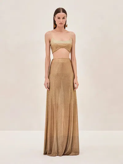 Alexis Franca Skirt In Brown
