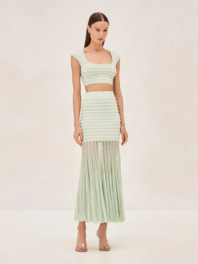 Alexis Franki Skirt In Mint