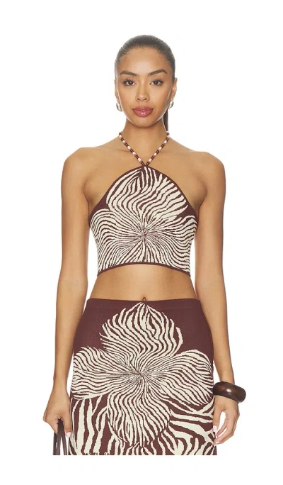 Alexis Gala Top In Brown Blossom