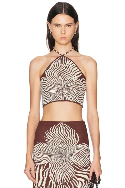 Alexis Gala Top In Brown Blossom