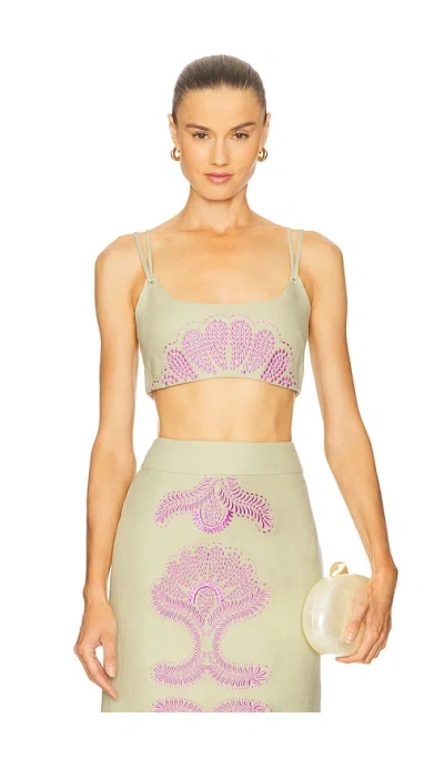 Alexis Genga Top In Green